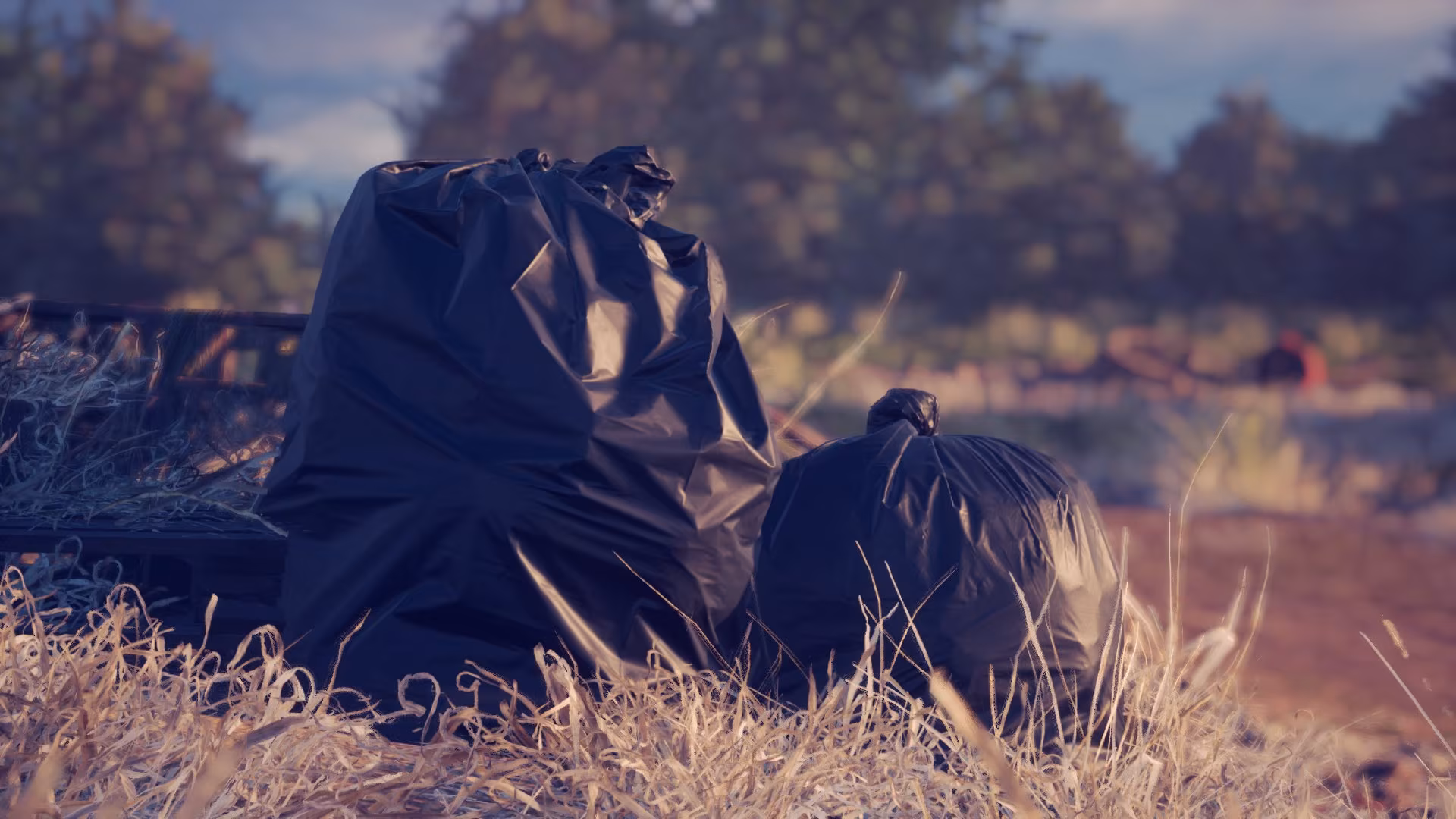 Capturas de tela do jogo The Texas Chain Saw Massacre. Dois sacos de lixo pretos estão posicionados na parte traseira de um veículo, em um campo com vegetação rasteira seca e árvores ao fundo.